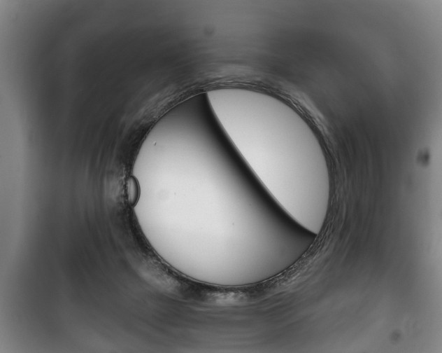 X0000100410073200806060935