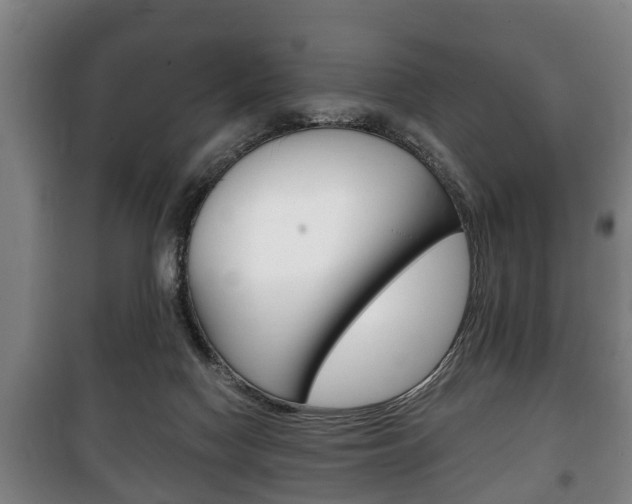 X0000100410074200806060935