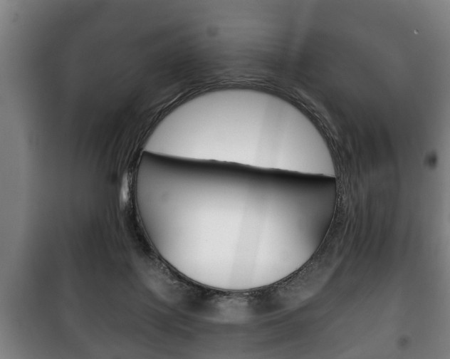 X0000100410075200806060935