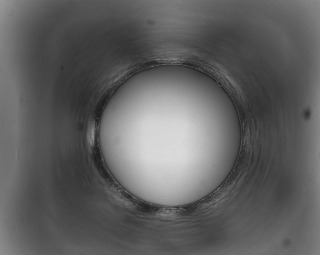 X0000100410076200806060935
