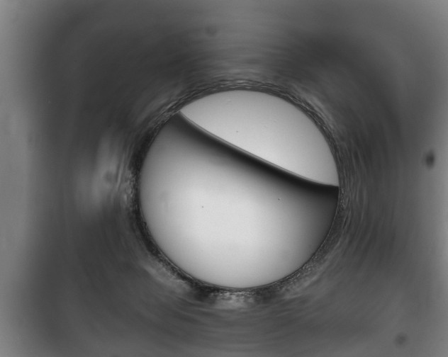 X0000100410077200806060935