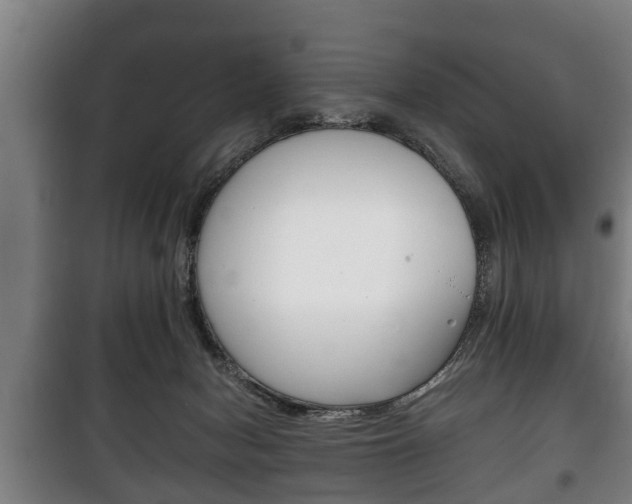 X0000100410078200806060935