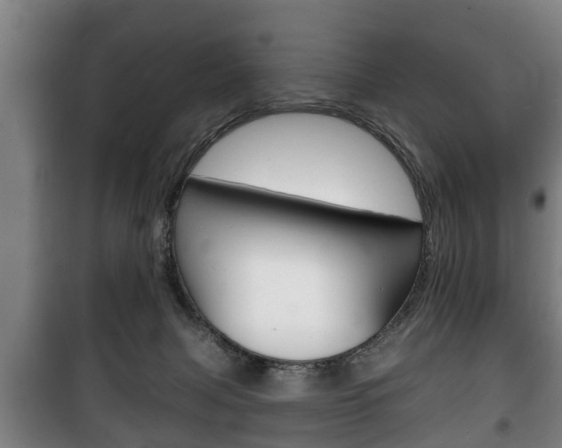 X0000100410079200806060935