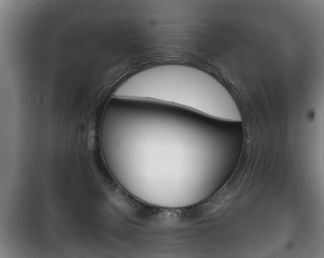 X0000100410080200806060935