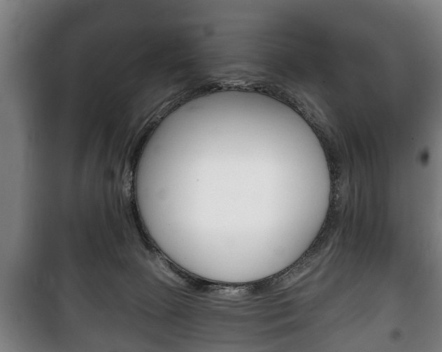 X0000100410081200806060935