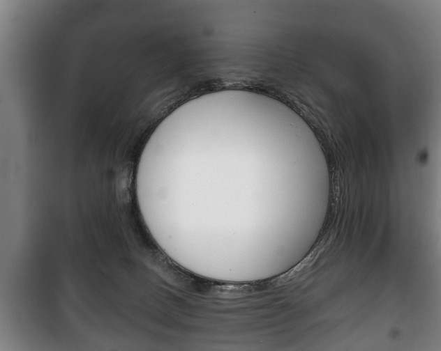 X0000100410082200806060935