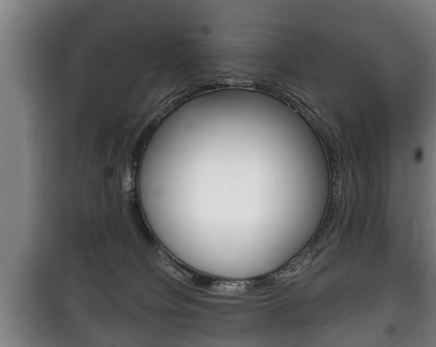 X0000100410084200806060935