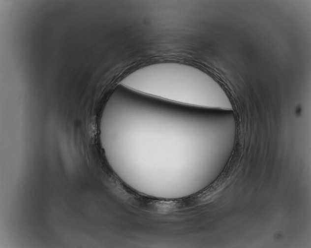 X0000100410085200806060935