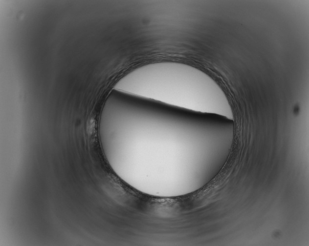 X0000100410087200806060935