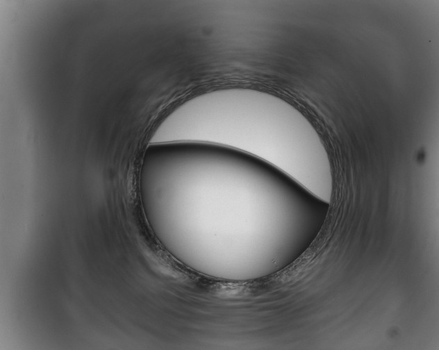 X0000100410088200806060935