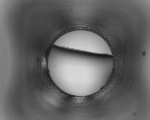 X0000100410089200806060935