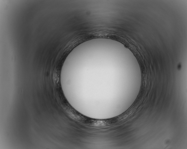 X0000100410091200806060935