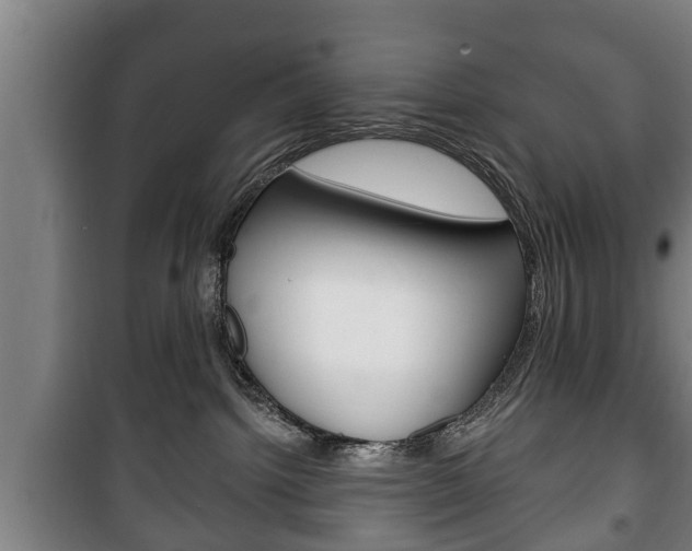 X0000100410092200806060935