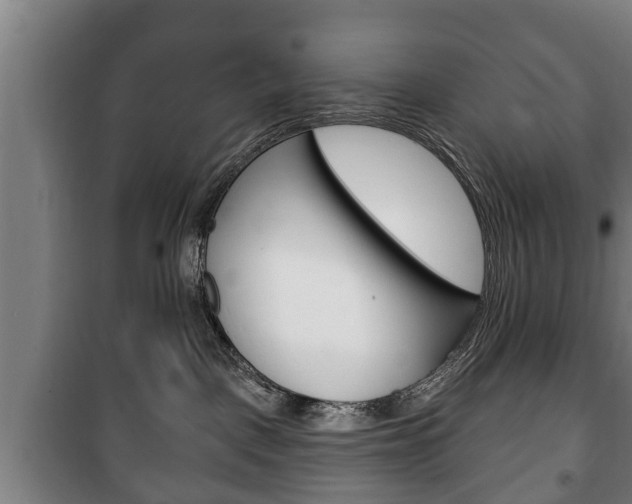 X0000100410093200806060935
