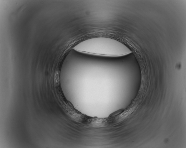 X0000100410096200806060935