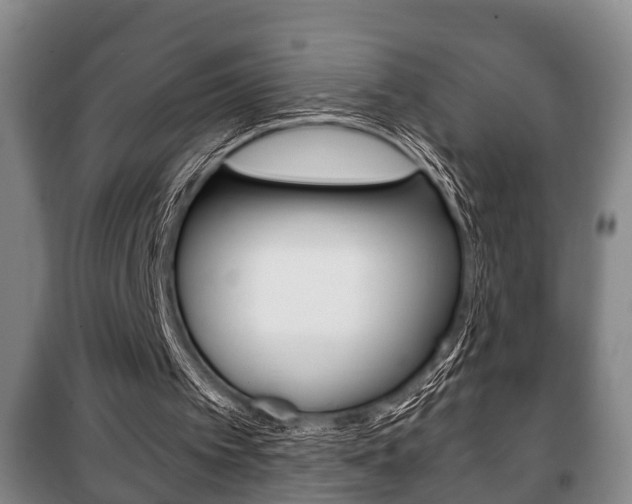 X0000100410097200806060934