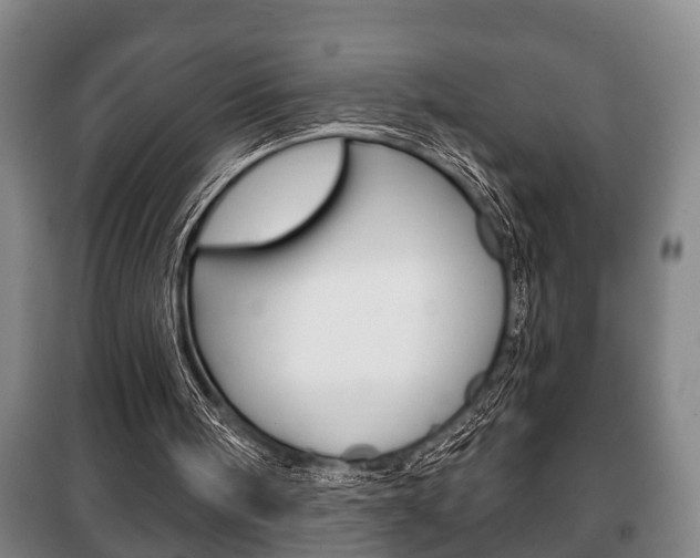 X0000100410098200806060934
