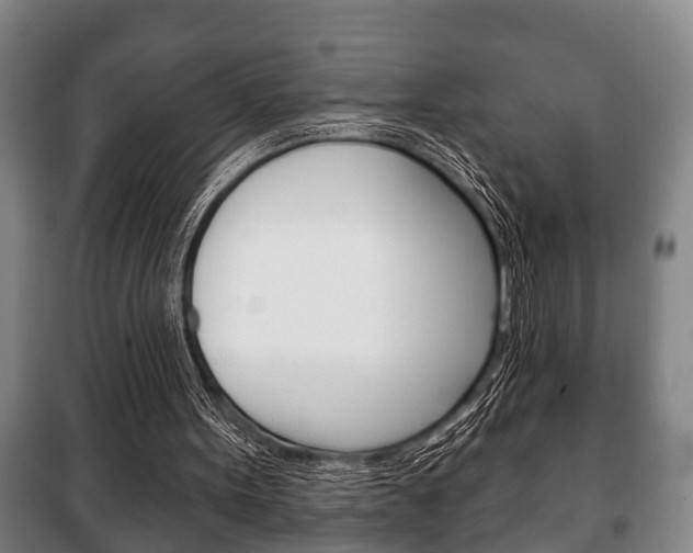 X0000100410099200806060934
