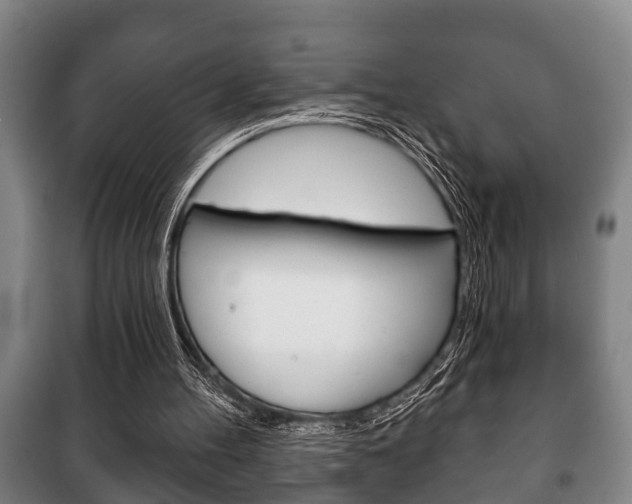 X0000100410100200806060934