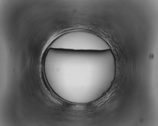 X0000100410102200806060934