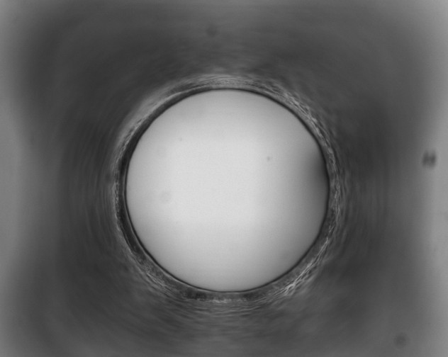 X0000100410103200806060934