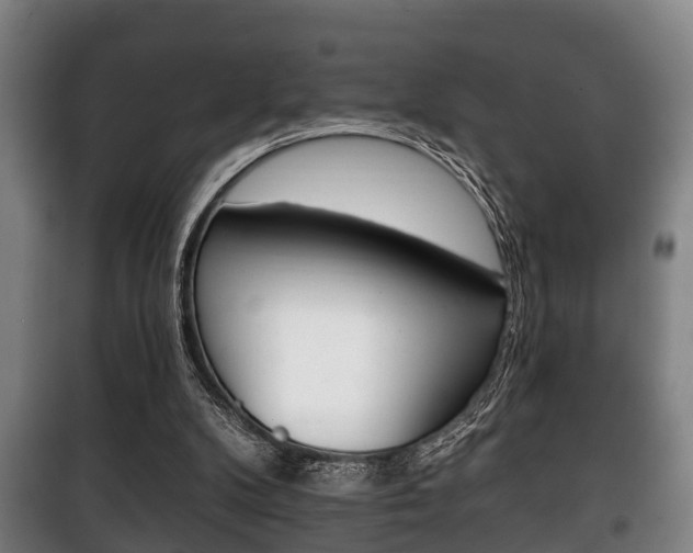 X0000100410104200806060934
