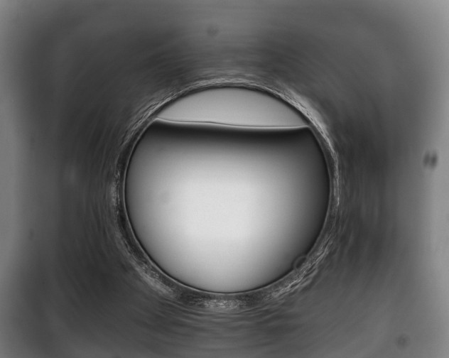 X0000100410105200806060934