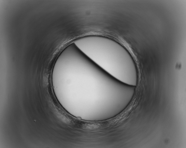 X0000100410106200806060934