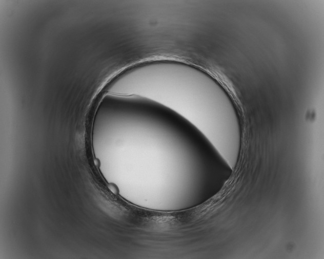 X0000100410108200806060934