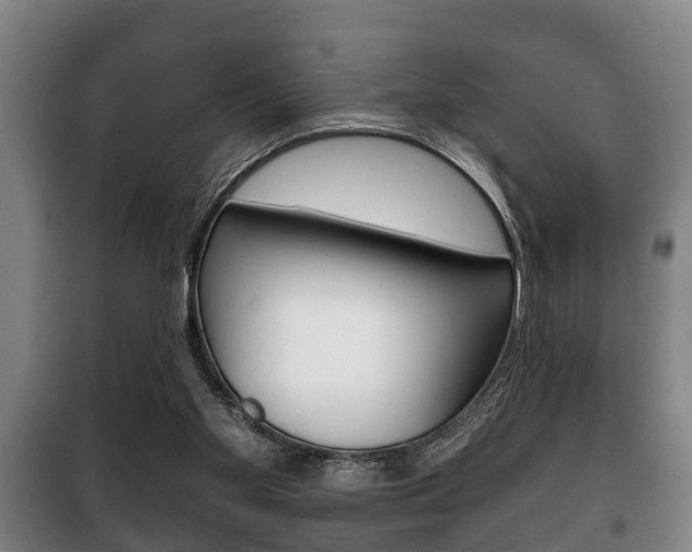 X0000100410109200806060934