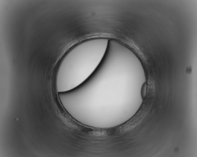 X0000100410110200806060934