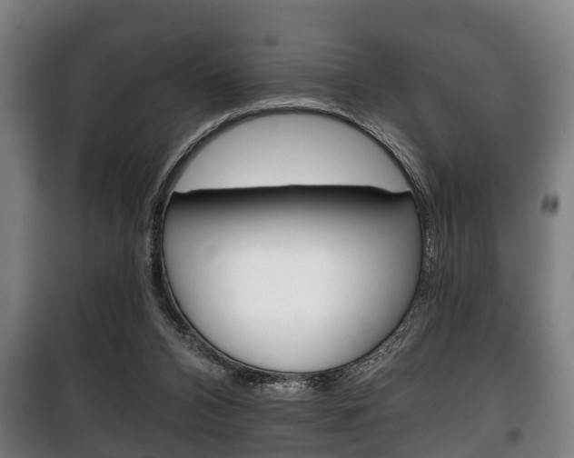 X0000100410112200806060934