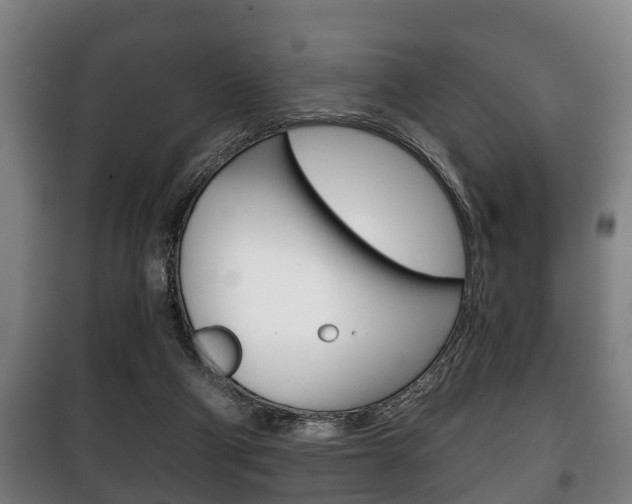 X0000100410114200806060934
