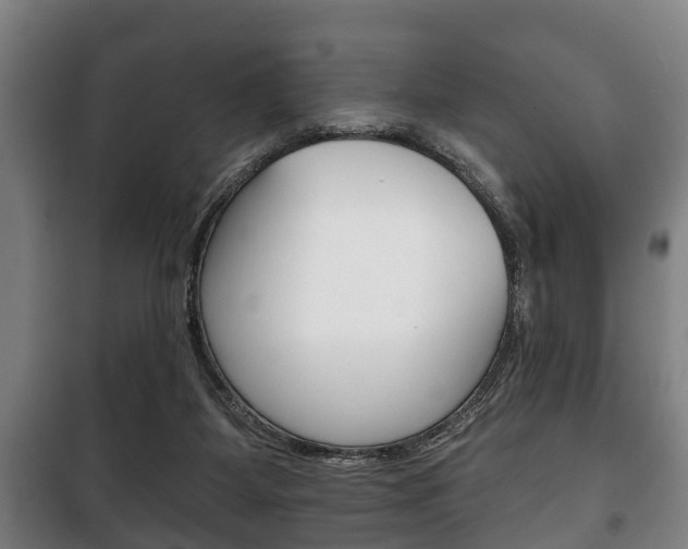 X0000100410115200806060934