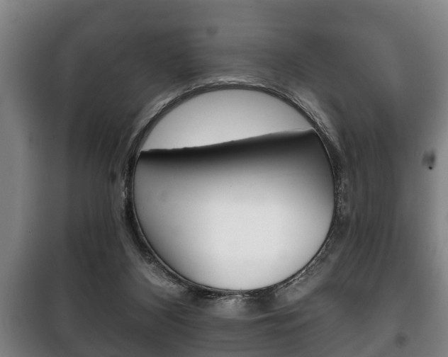 X0000100410116200806060934