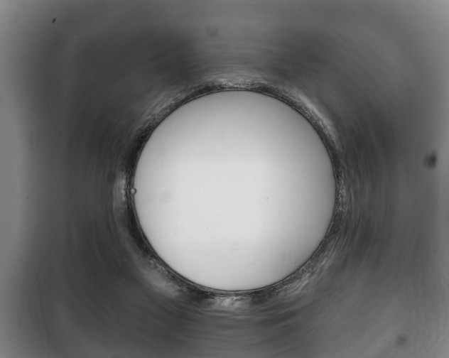 X0000100410117200806060934