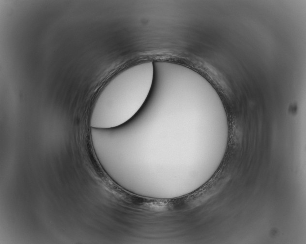 X0000100410118200806060934