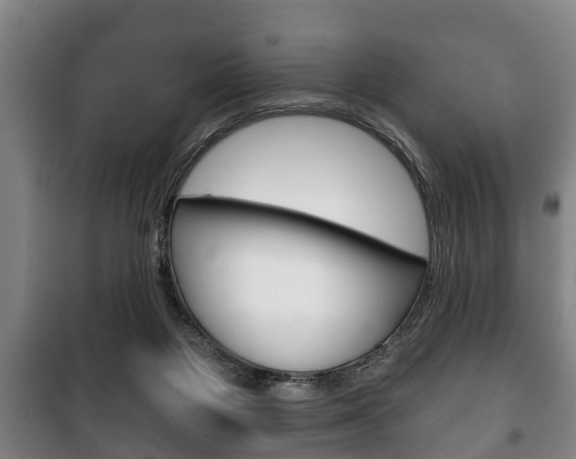 X0000100410119200806060934