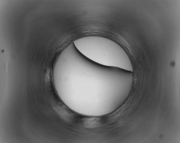 X0000100410122200806060934