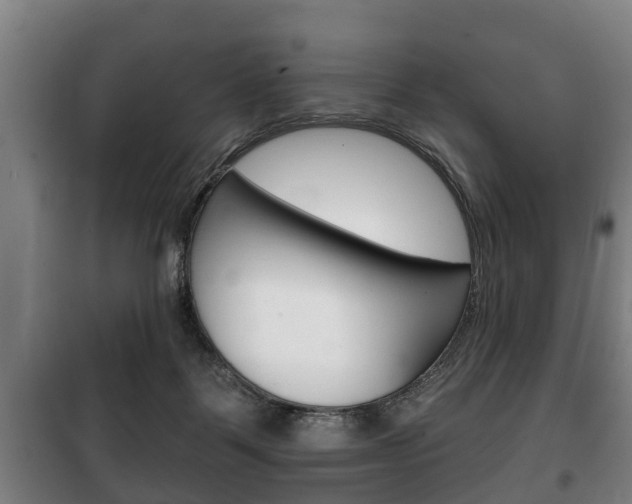X0000100410123200806060934
