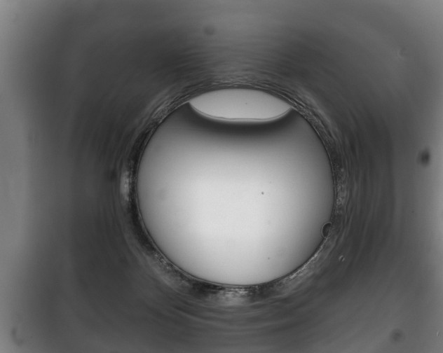 X0000100410124200806060934