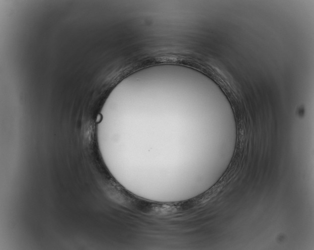 X0000100410125200806060934