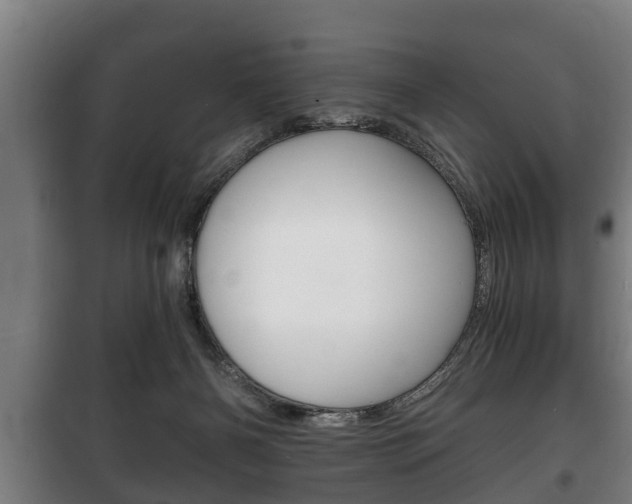 X0000100410126200806060934