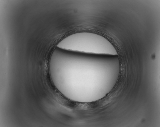 X0000100410127200806060934