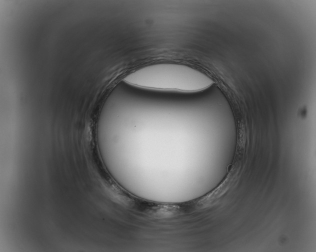 X0000100410128200806060934