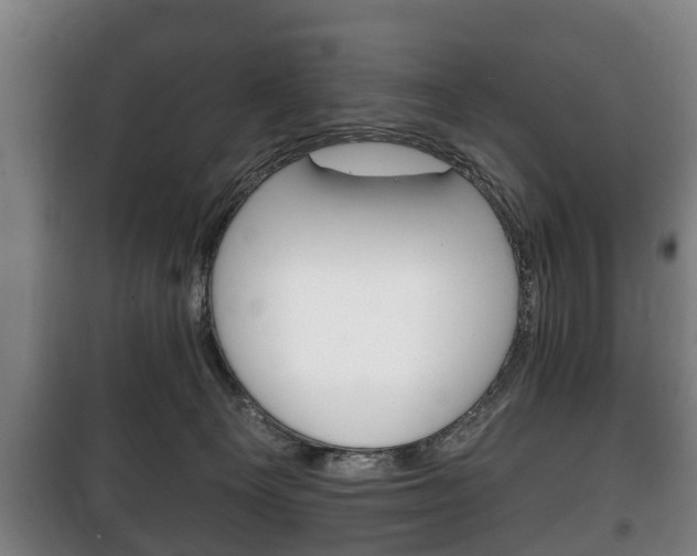 X0000100410129200806060934