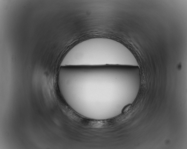 X0000100410131200806060934