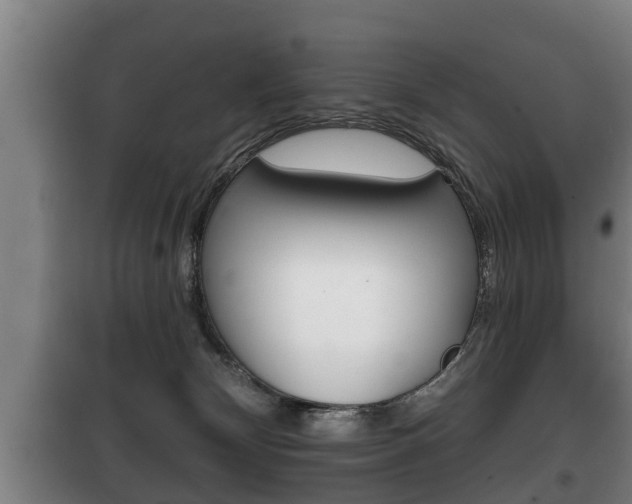 X0000100410132200806060934