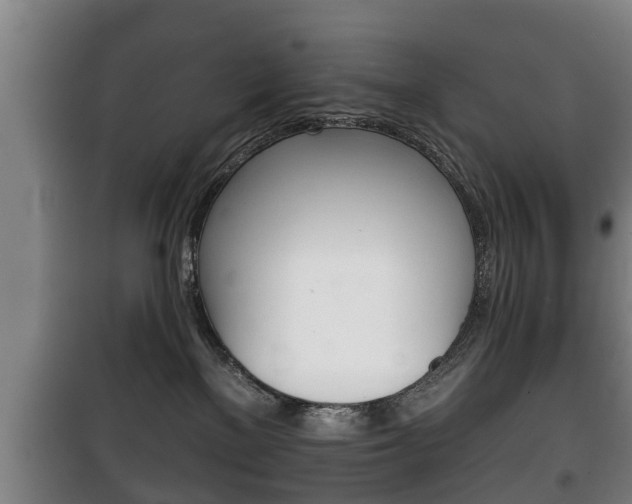 X0000100410137200806060934