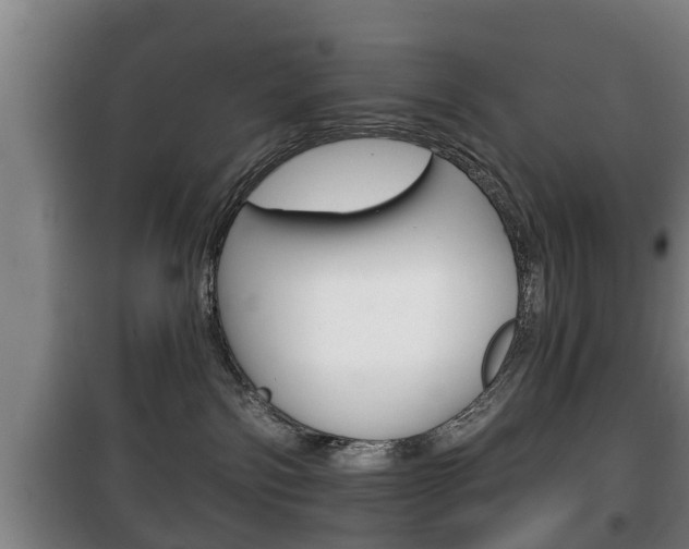 X0000100410138200806060934
